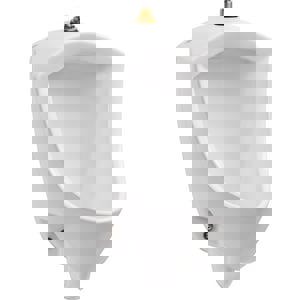 @ CCY 0.125-0.5 TS URN PINTBR WHIT